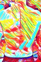 Spine Physical Therapist